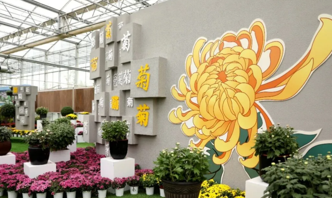 1761123413763416.png image.png