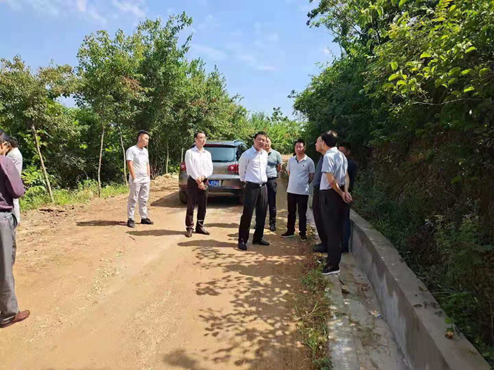 全椒县副县长陈劲松检查指导马厂风景道工程施工